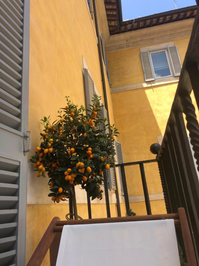 Appartamento New! Bellissimo Palazzofranchi Pantheon Roma Esterno foto